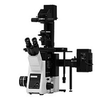 Olympus奥林巴斯显微镜 IX53