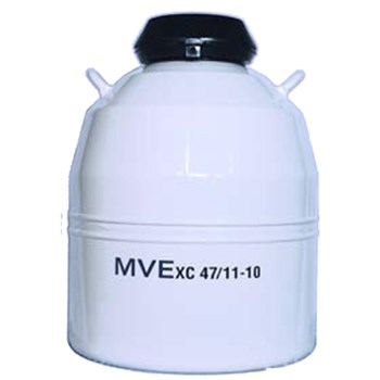 MVE XC47/11-10型号液氮罐