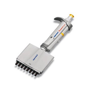 Eppendorf艾本德 Research plus 12道移液器 100ul （3122 000.043） 