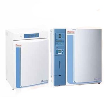 Thermo Scientific Forma 系列二氧化碳培养箱
