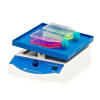 其林贝尔Kylin-bell 转移脱色摇床 TS-8型（升级版）