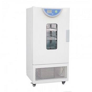 上海一恒霉菌培养箱 BPMJ-70F 