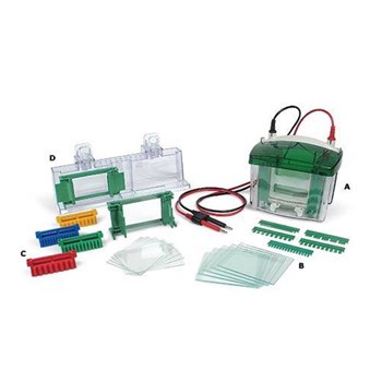 Bio-Rad伯乐 小型垂直电泳槽 1658003