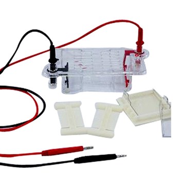 北京六一DYCP-32B型 琼脂糖水平电泳槽（中号）