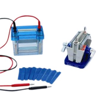 北京六一DYCZ-24DN型 迷你双垂直电泳仪(槽)（小号）