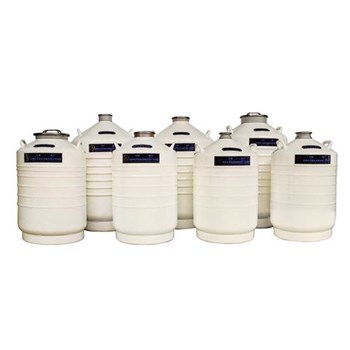 金凤 液氮生物容器运输型（YDS-100B-80）