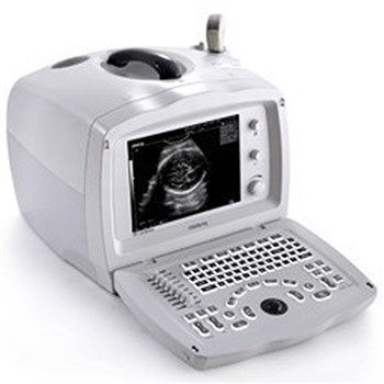 迈瑞B超 全数字便携式超声诊断系统 黑白超 DP-2200Plus