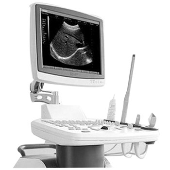 恩普 B型超声诊断仪 推车式全数字超声诊断仪 EMP-2900PLUS