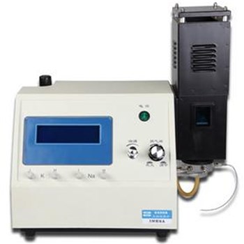 上海仪电火焰光度计 6400A