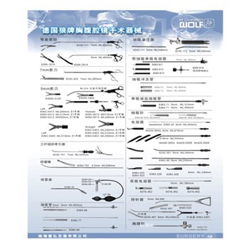 德国狼牌内窥镜WOLF 30度腹腔镜
