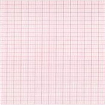 寰熙  心电图纸 六导