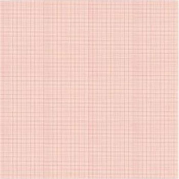 寰熙  心电图纸  十二导