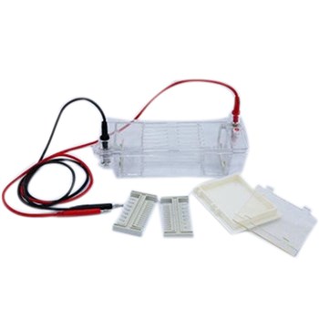 北京六一DYCP-31DN型 琼脂糖水平电泳仪(槽)(小号)