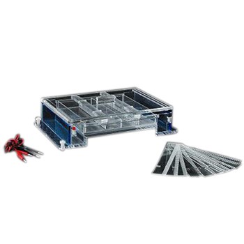 北京六一DYCP-34A 琼脂糖水平电泳槽(大号) 