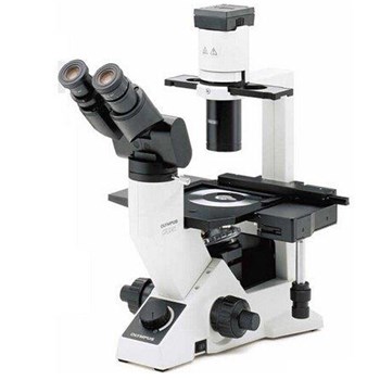 OLYMPUS奥林巴斯 CKX41临床级倒置显微镜(三目)