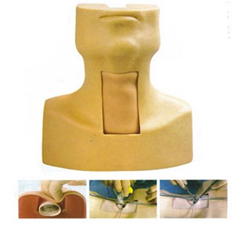 寰熙 环甲膜穿刺及气管切开插管训练模型 KAR/58