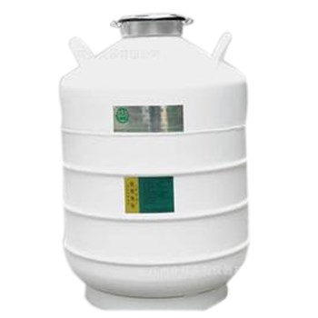 亚西 液氮容器贮存（YDS-35-125）