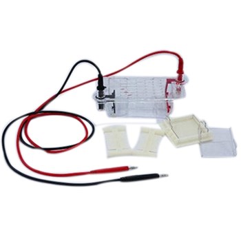 北京六一DYCP-31BN型 琼脂糖水平电泳仪（槽）