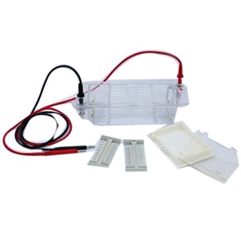 北京六一DYCP-31CN电泳仪（小号）