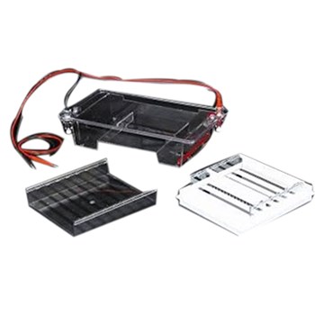 北京六一DYCP-31E型 琼脂糖水平电泳仪(槽)(中号) 