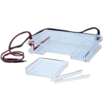 北京六一DYCP-31F型 琼脂糖水平电泳仪(槽)(大号) 