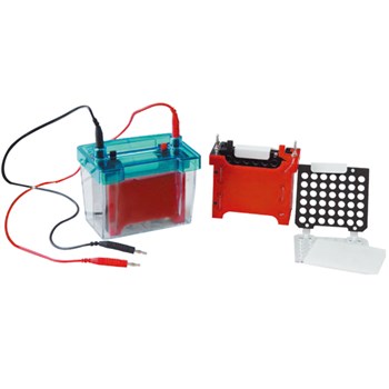 北京六一DYCZ-40D型 迷你转印电泳仪(槽) 