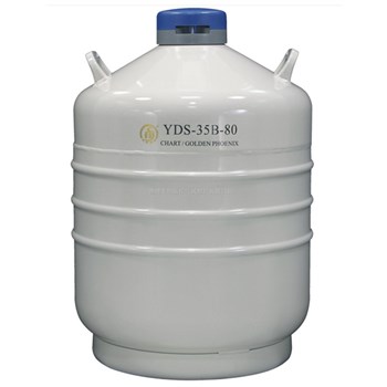 亚西 液氮容器运输贮存两用（YDS-35B-80）