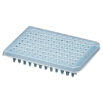 Axygen 爱思进 384孔 PCR板 全裙边 （PCR-384-C） 