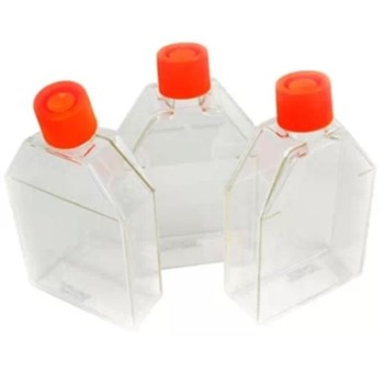 Corning康宁 25cm2密封盖直角培养瓶 （430168）
