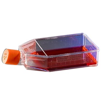 Corning康宁 25cm2透气盖直角培养瓶 （3815）