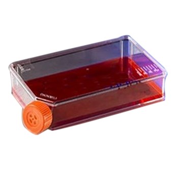 Corning康宁 100cm2宽体培养瓶 （3816）