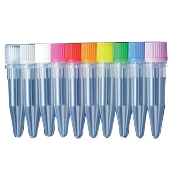 Axygen 爱思进 1.5ml螺口无盖透明灭菌不可立冻存管 