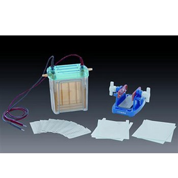 北京六一DYCZ-24EN型 双垂直电泳仪(槽)(中号) 