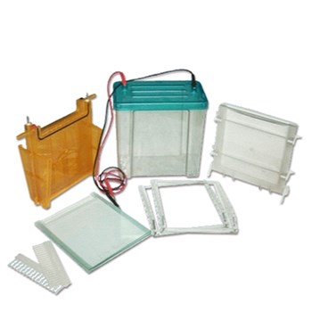 北京六一DYCZ-24F型 双垂直电泳仪(槽)（大号）