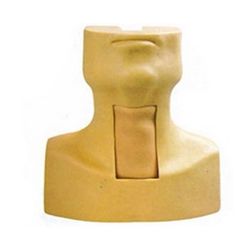 上海益联 环甲膜穿刺及气管切开插管训练模型 KAS/53