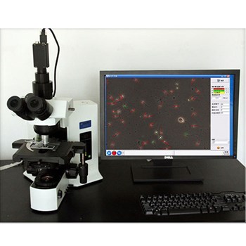 瑞祺 精子质量检测分析自动平台空调恒温型CFT-9202