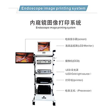 侨伟 仪器车耳鼻喉图像检查镜打印系统
