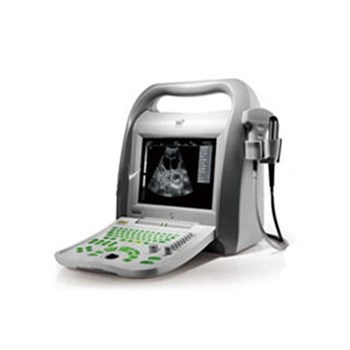 凯信兽用全数字B型超声诊断仪KX5500