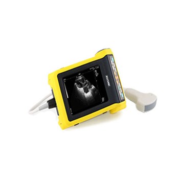 凯信兽用全数字B型超声诊断仪（猪羊）RKU10