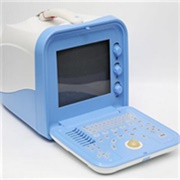 埃顿实业全数字便携式超声51353A
