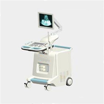 海德全数字B型超声诊断仪HD-360