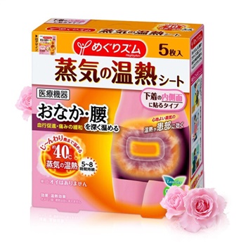花王（KAO） 蒸汽温热热敷暖宫贴蒸汽贴暖宝宝贴 日本原装进口 5枚入无香型