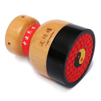 通阳 砭石温灸仪 TY-2088