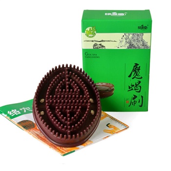 绿源堂 五行经络刷